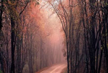 攻破马竞大门,佩德里本赛季已打入5球,超过上赛季进球数.