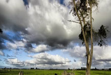 英格蘭世界杯大名單 英格蘭要把世界杯帶回家.