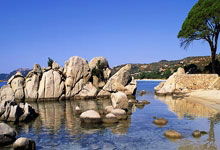 2023女足世界杯瑞士簡介.